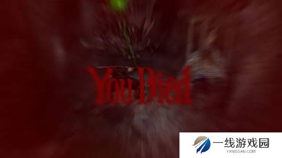 本站