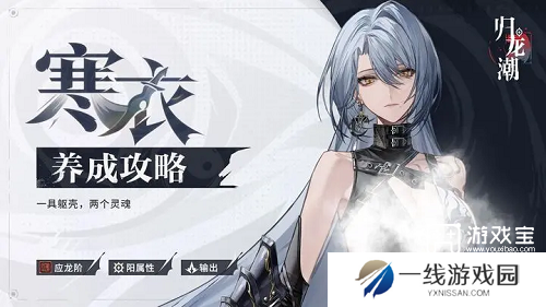 归龙潮寒衣经典配队攻略