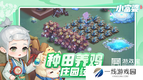 小富婆菜谱大全一览