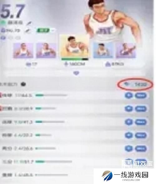 我的球场新手入门攻略