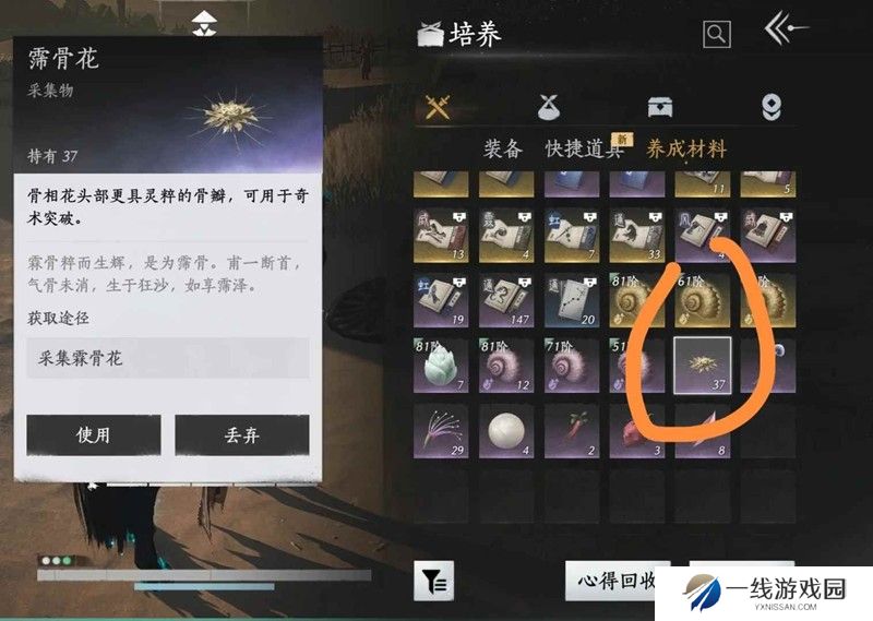 燕云新奇术箫吟千浪 河西霈骨花奇术升级速刷