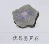 燕云十六声河西新蹊跷采集大全