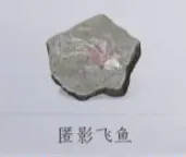 燕云十六声河西新蹊跷采集大全